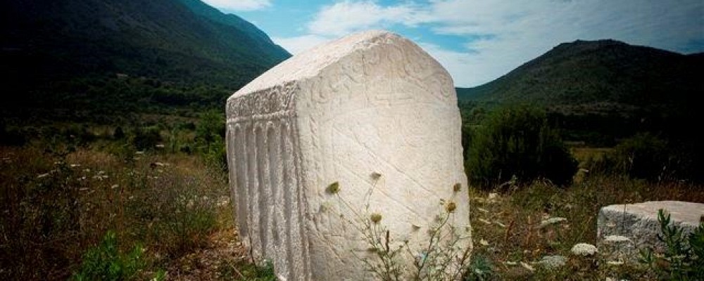6 primorje 11 